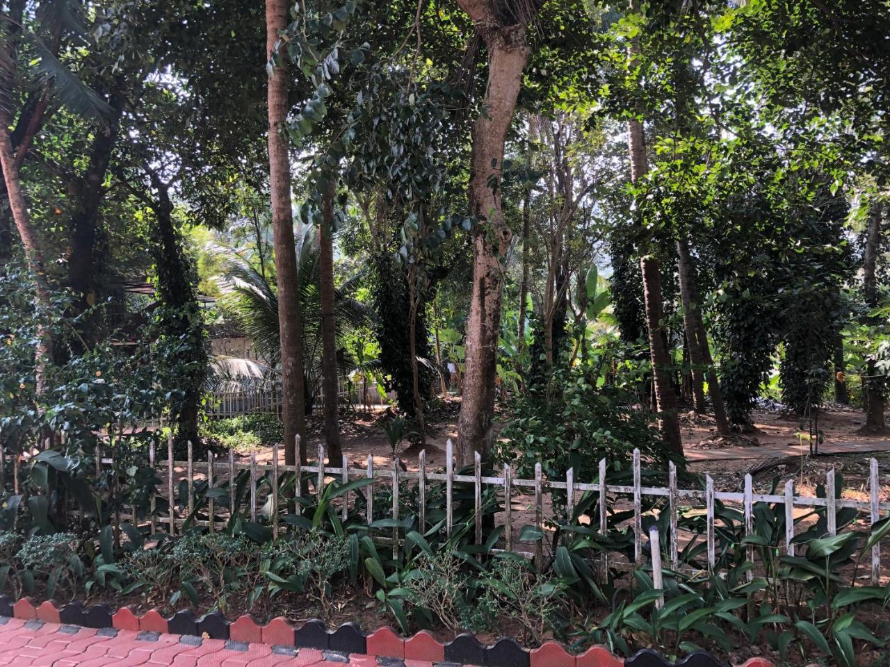Ayuryogashram Heritage Thrissur Экстерьер фото